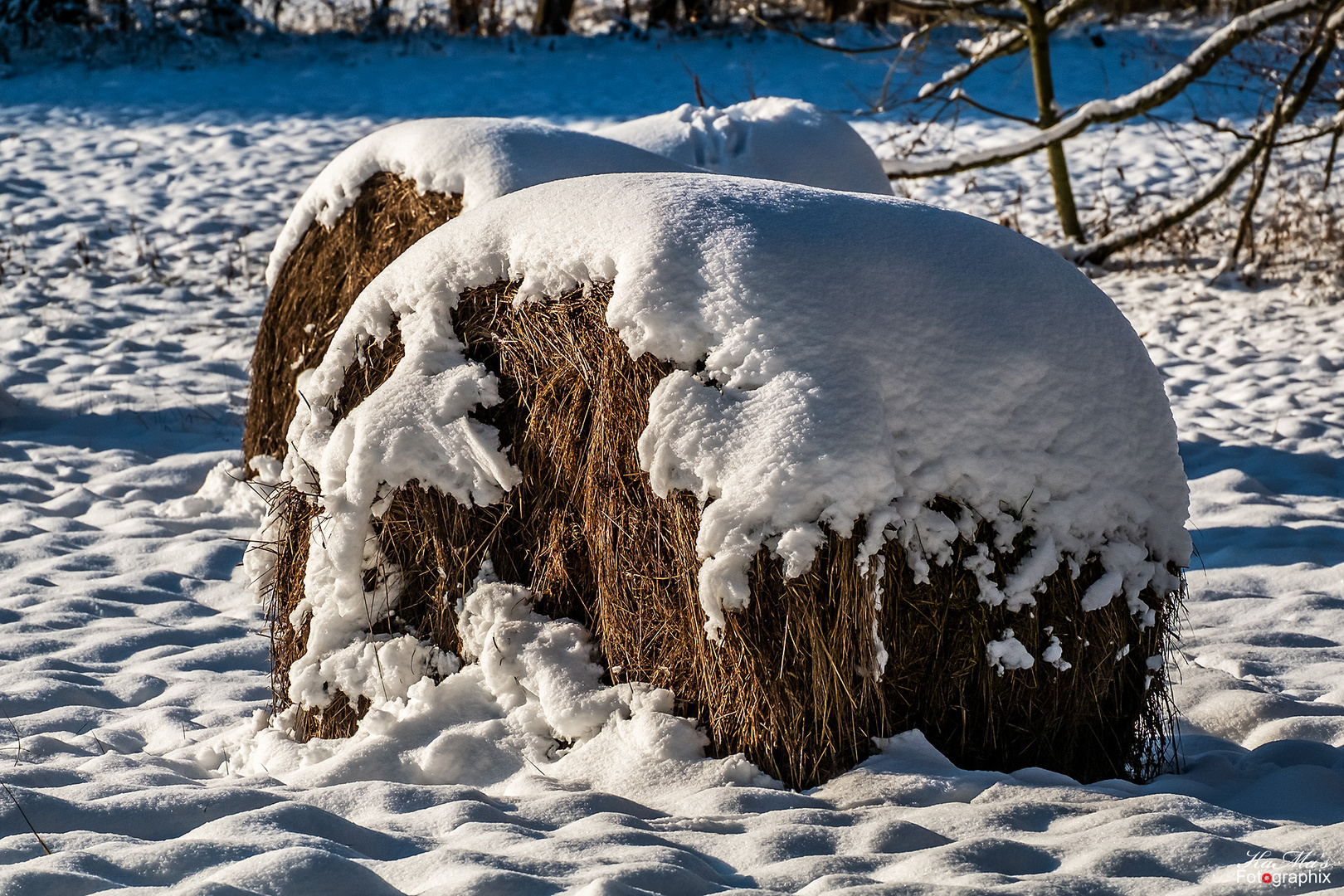 Die Schneehaube