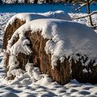 Die Schneehaube