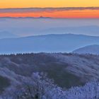 Die Schneekoppe heute Morgen von der Nakleroska vysina (Nollendorfer Höhe) 7.46 Uhr aufgenommen...