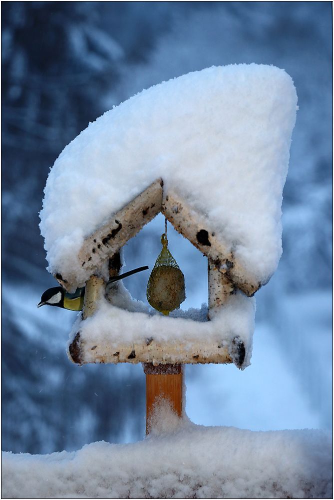 Die Schneemütze...