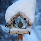 Die Schneemütze...