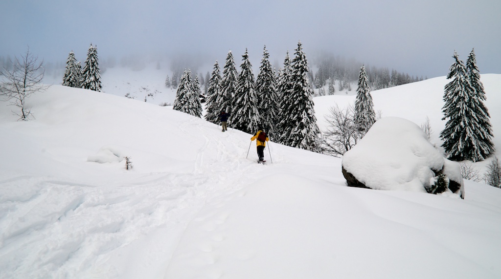 Die Schneeschuhgeher Teil 2