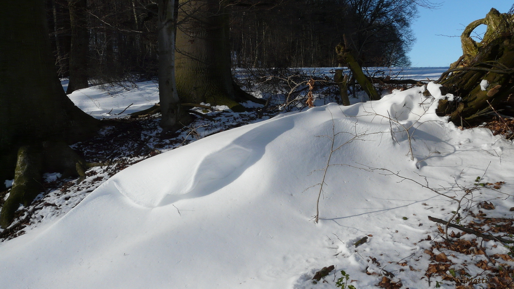 Die Schneewehenwelle ;-)