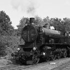 Die Schnellzug-Schlepptenderlokomotive 109.13