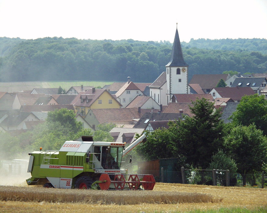 Die "Schnitternte" am Dorfrand ...