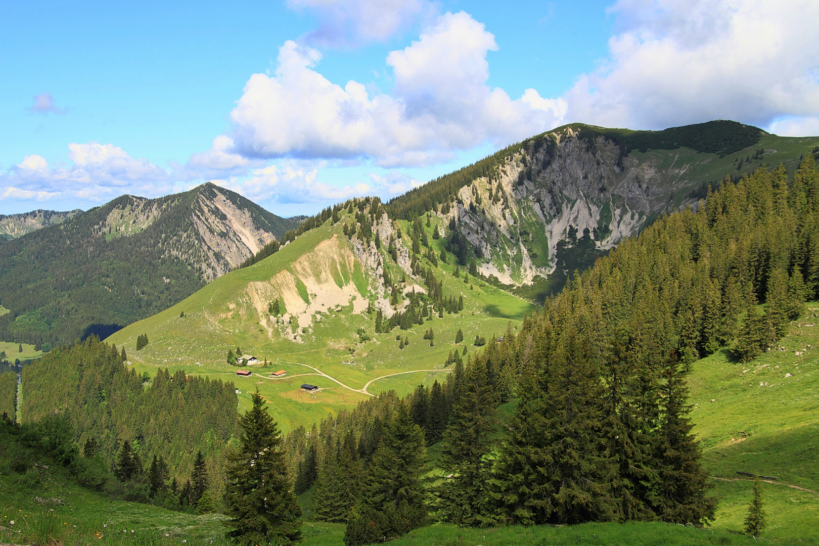 ...die Schönberg Alm...