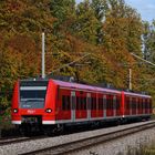 Die Schönbuchbahn im Herbst