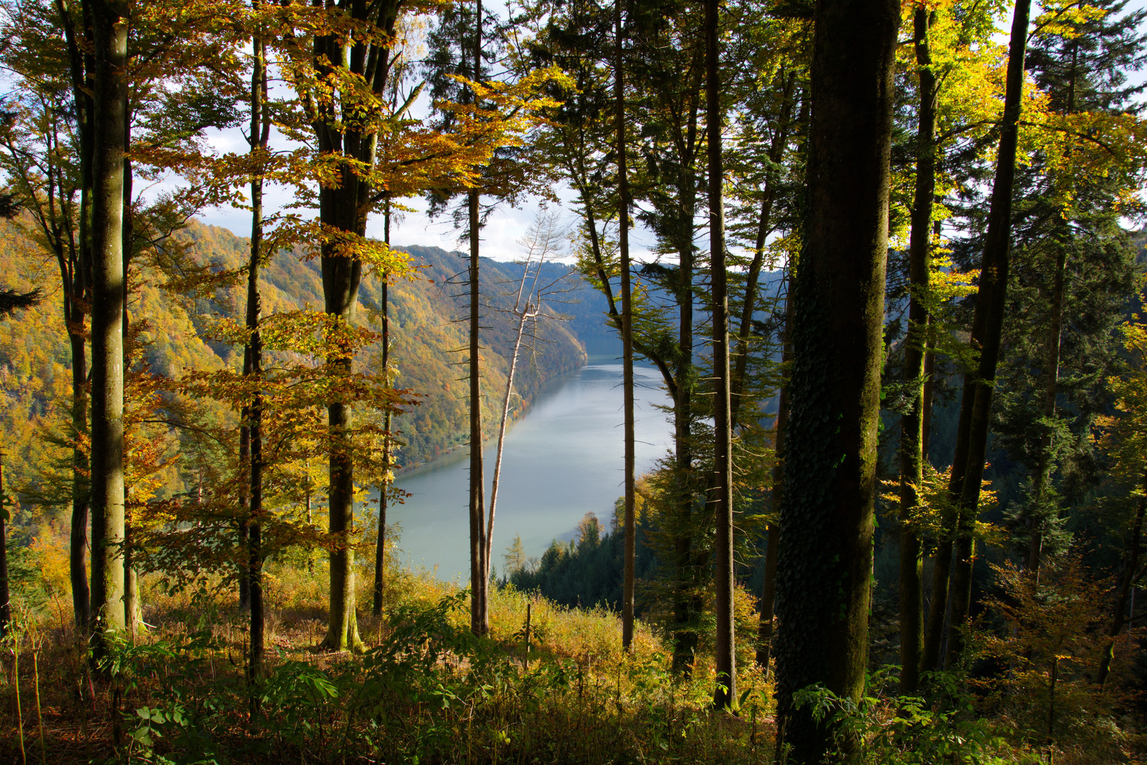 Die schöne blaue Donau im Herbst...