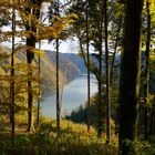 Die schöne blaue Donau im Herbst...