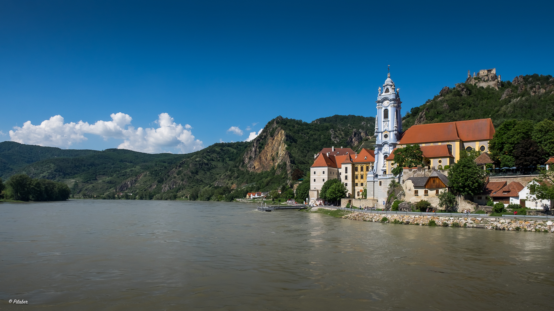 Die schöne braune Donau