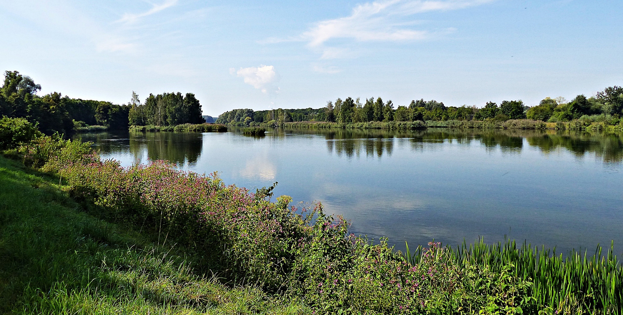 Die schöne Donau 1