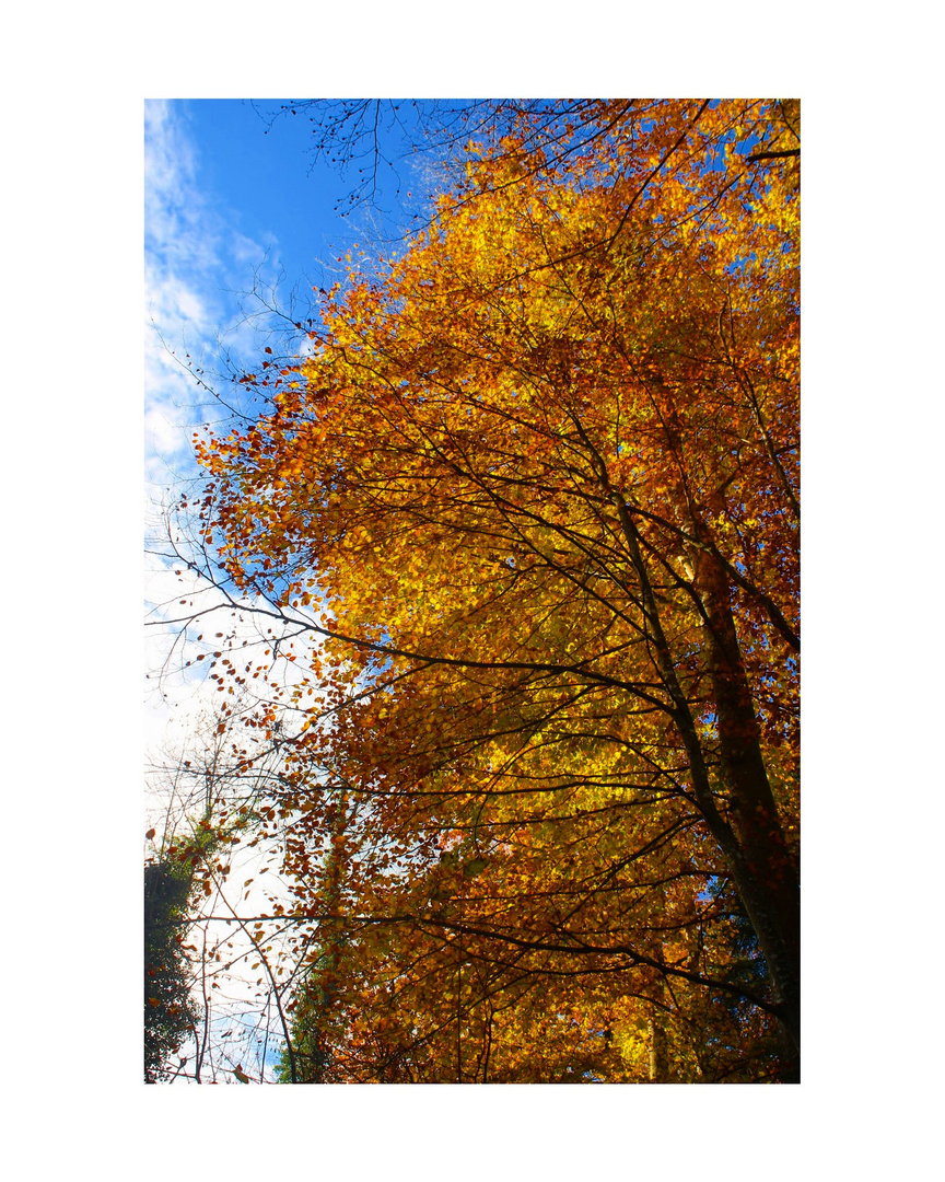 Die schöne Herbstwetter in der Schweiz...