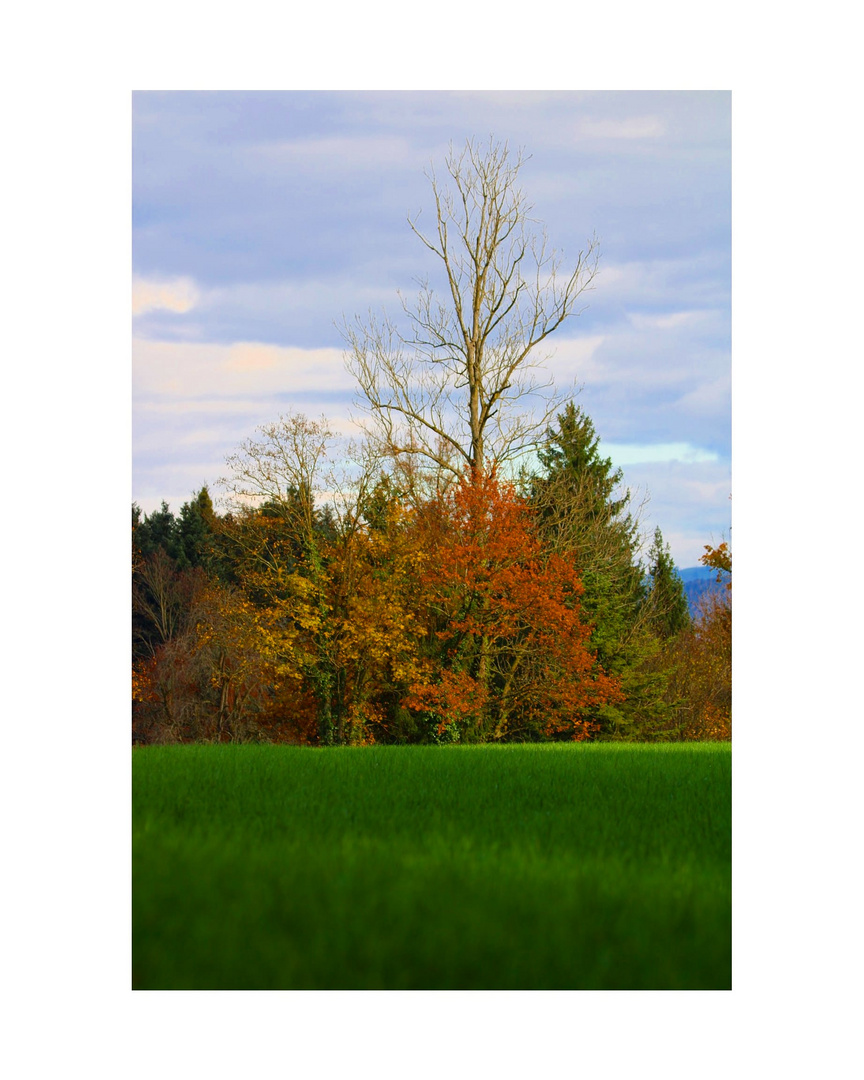 Die schöne Herbstwetter in der Schweiz...