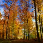 Die schöne Herbstwetter in der Schweiz...