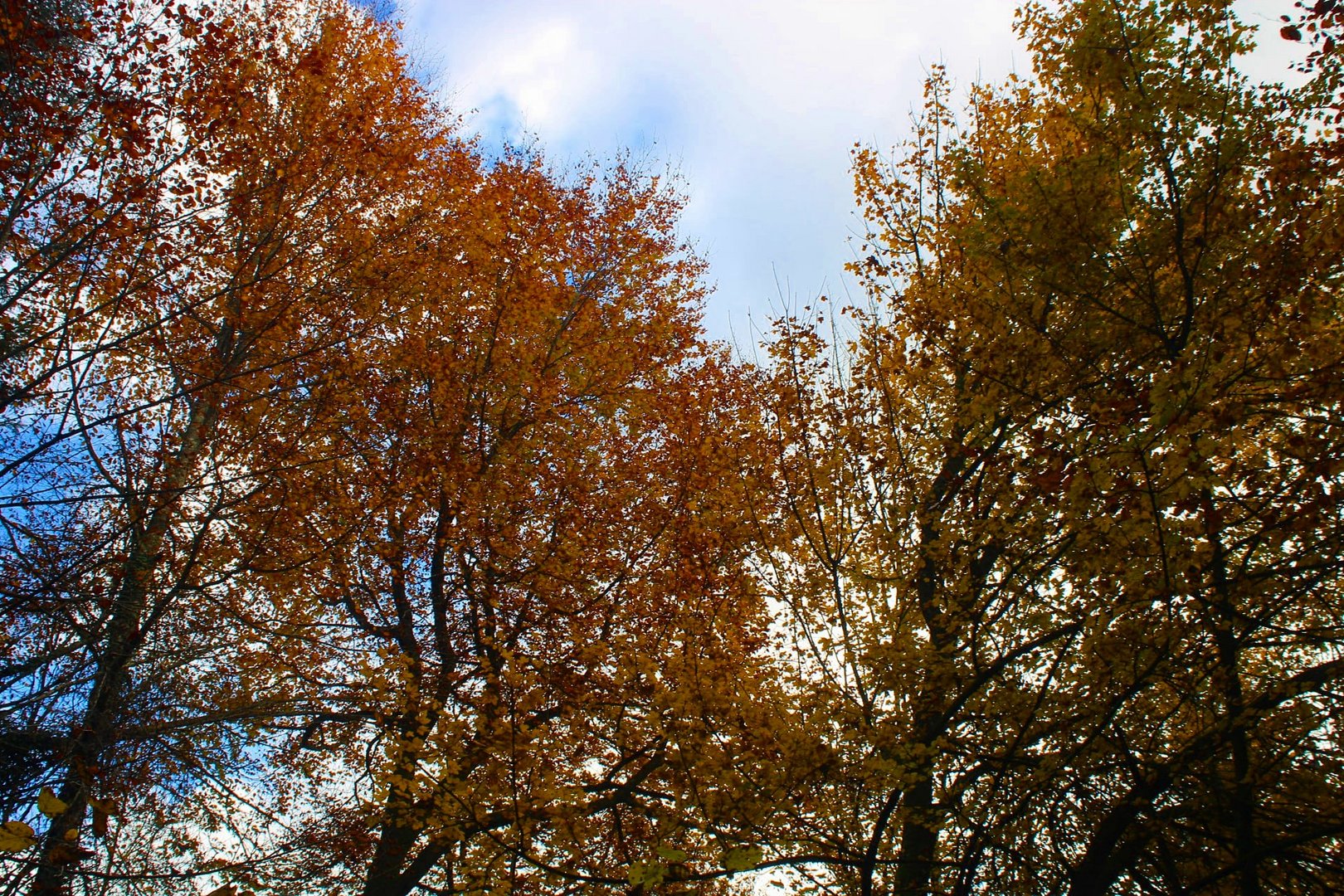 Die schöne Herbstwetter in der Schweiz...