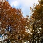 Die schöne Herbstwetter in der Schweiz...