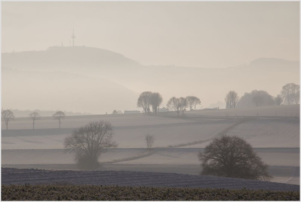 Die Schöne hinter dem Schleier... 