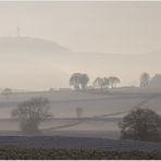 Die Schöne hinter dem Schleier... 