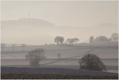 Die Schöne hinter dem Schleier... 