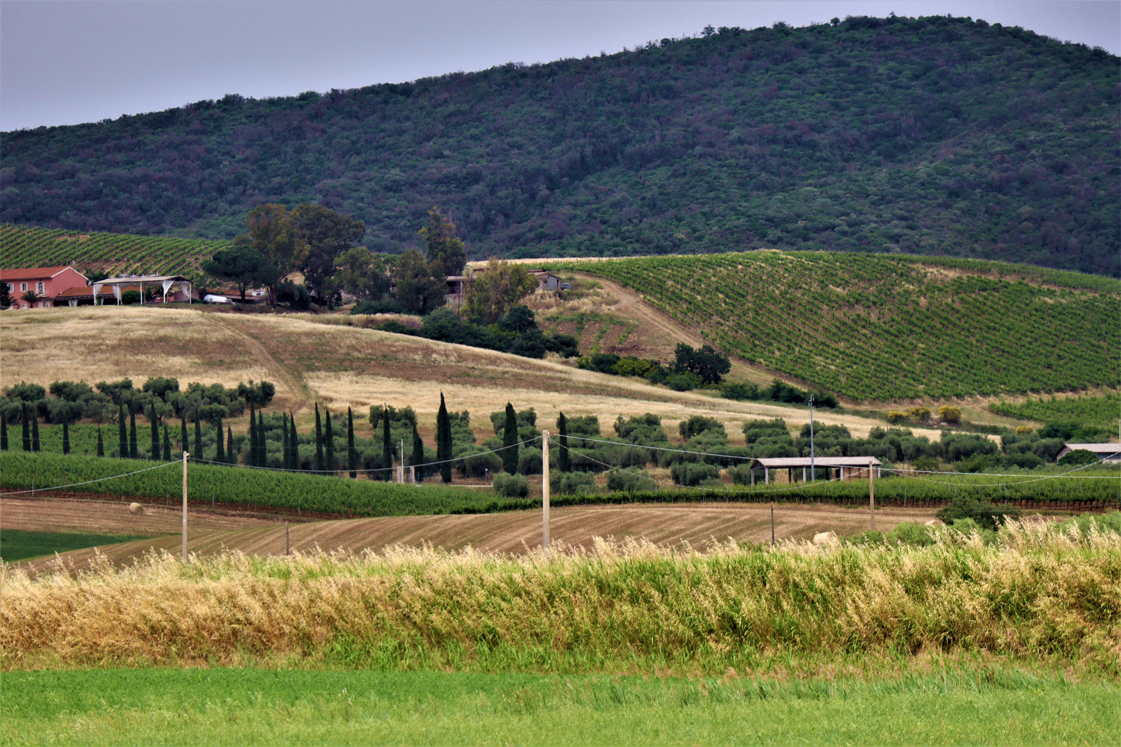 die schöne ländliche Toscana