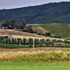 die schöne ländliche Toscana