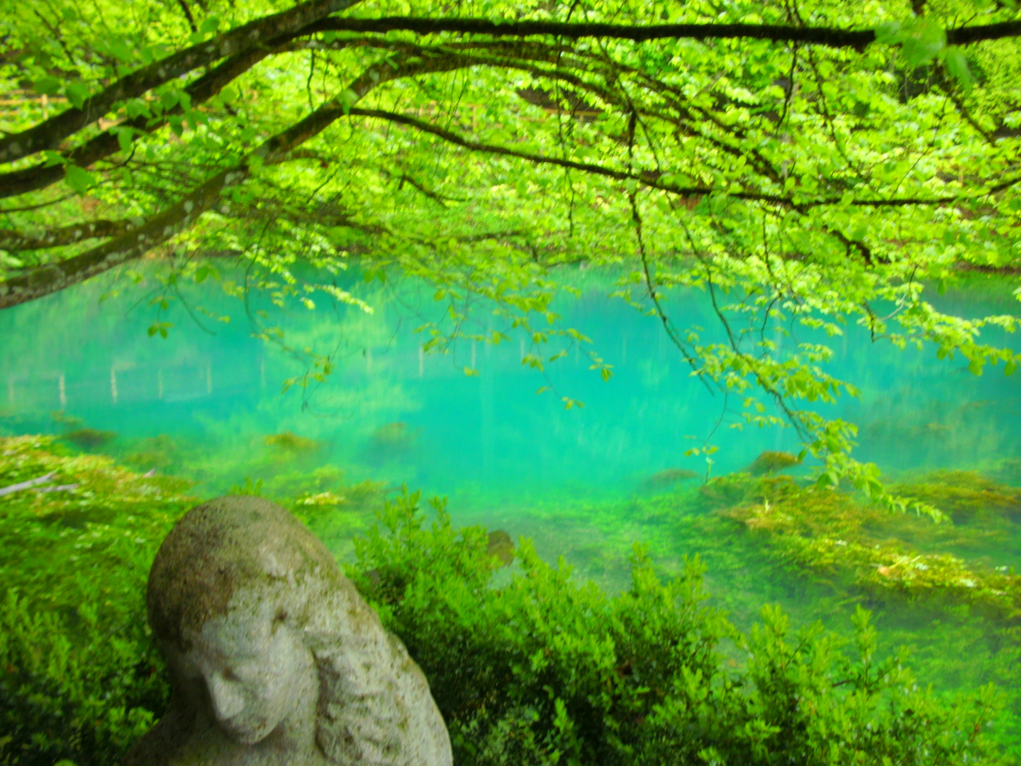 Die schöne Lau am Blautopf! Foto & Bild landschaft, bach, fluss & see