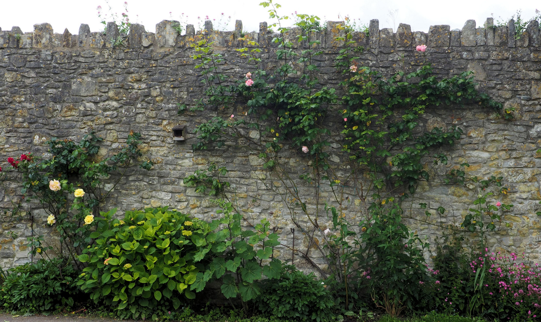 Die schöne Mauer....Südengland 