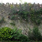 Die schöne Mauer....Südengland 