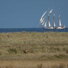 Die schöne Ostseeküste...