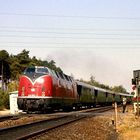 Die Schöne Rote im Emsland