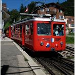 Die schöne Rote vom Rigi