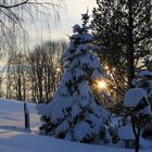 Die schöne Seite am erzgebirgischen Winter