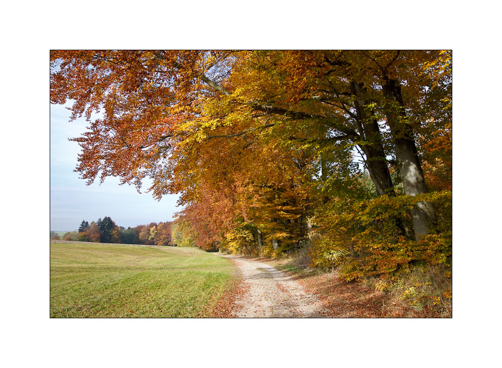 die schöne Seite des Herbstes...