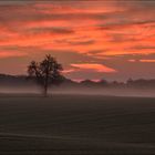 Die schöne Seite des Herbstes