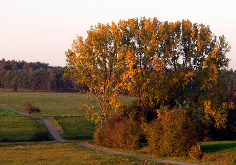 Die schöne Seite des Herbstes