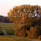 Die schöne Seite des Herbstes