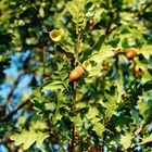 Die schöne Seite des Herbstes