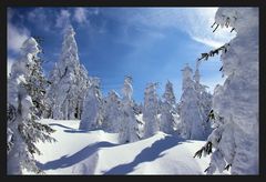 Die schöne Seite des Winters