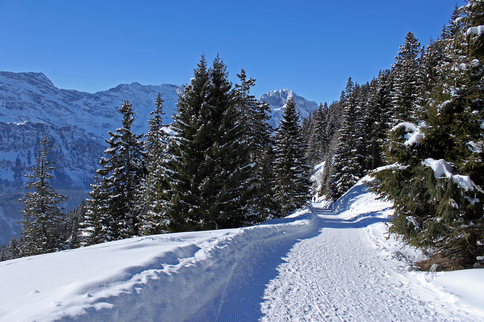 * Die schöne Seite des Winters *