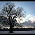 Die schöne Seite des Winters... (2. Versuch)