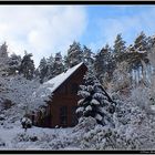 Die schöne Seite des Winters