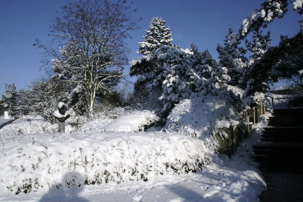 .... die schöne Seite des Winters......