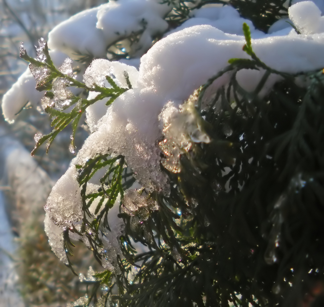 Die schöne Seite des Winters