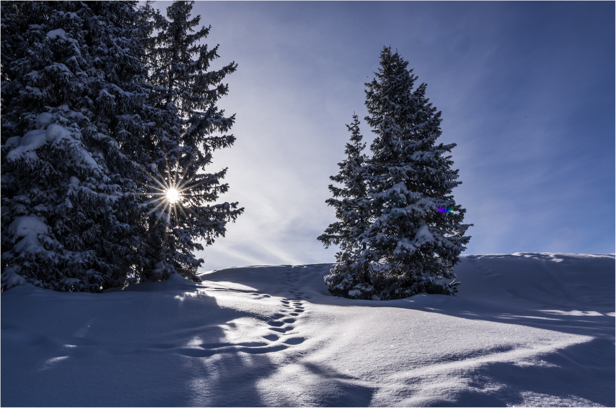 Die schöne Seite des Winters