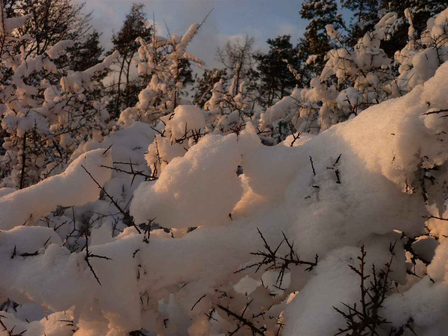 Die schöne Seite des Winters....