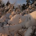 Die schöne Seite des Winters....