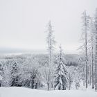 Die schöne Seite des Winters