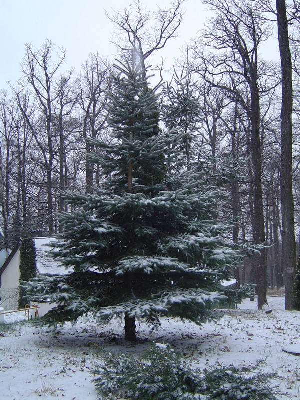 die schöne Seite des Winters