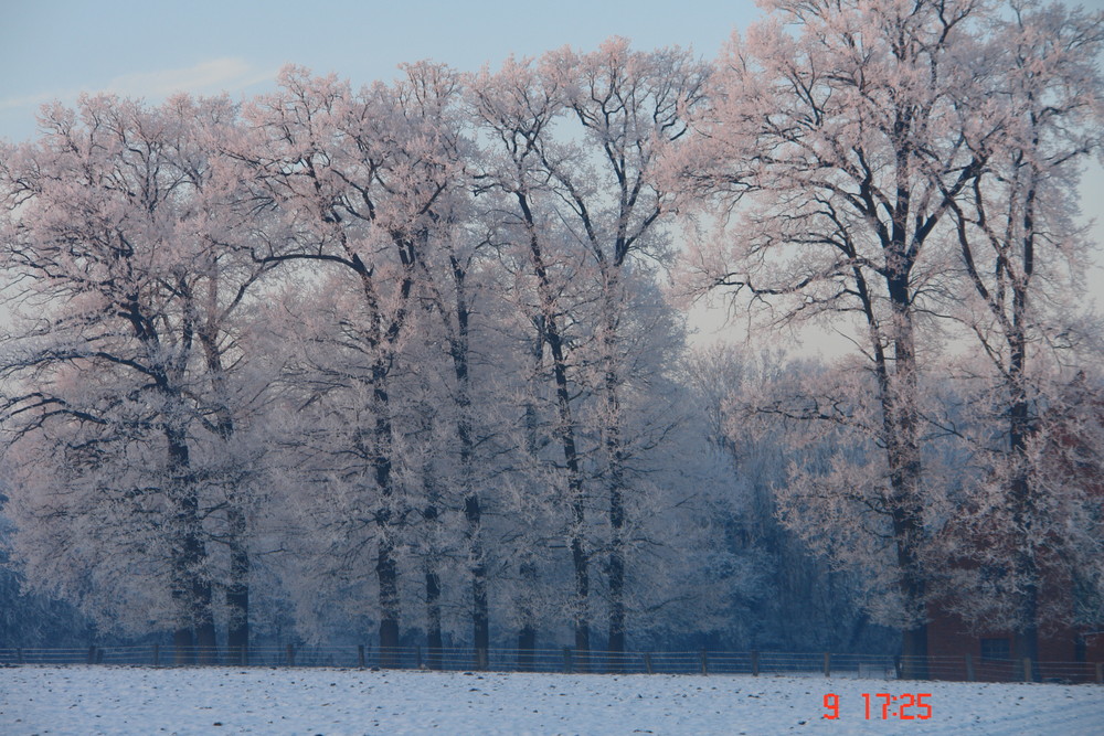 Die schöne Seite des Winters