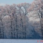 Die schöne Seite des Winters